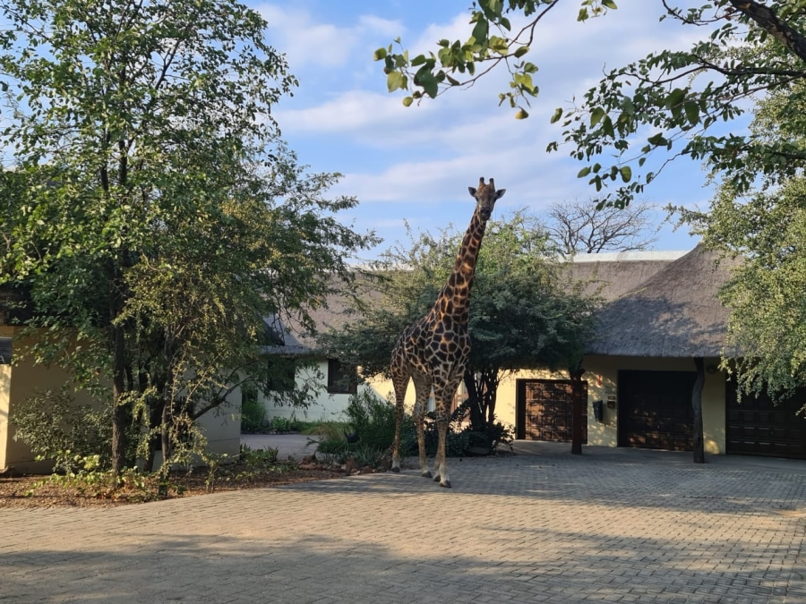 Commercial Property for Sale in Phalaborwa Limpopo