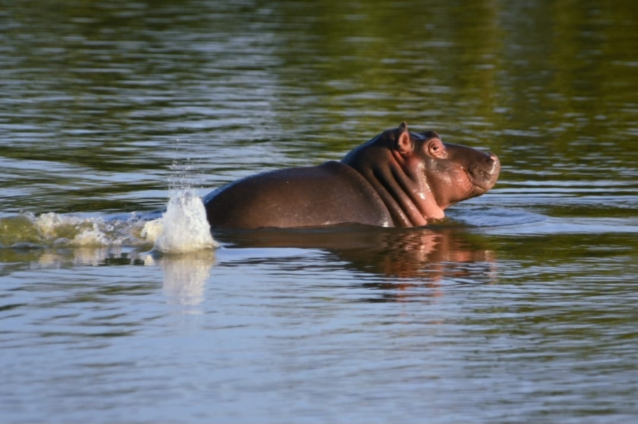 Commercial Property for Sale in Phalaborwa Limpopo