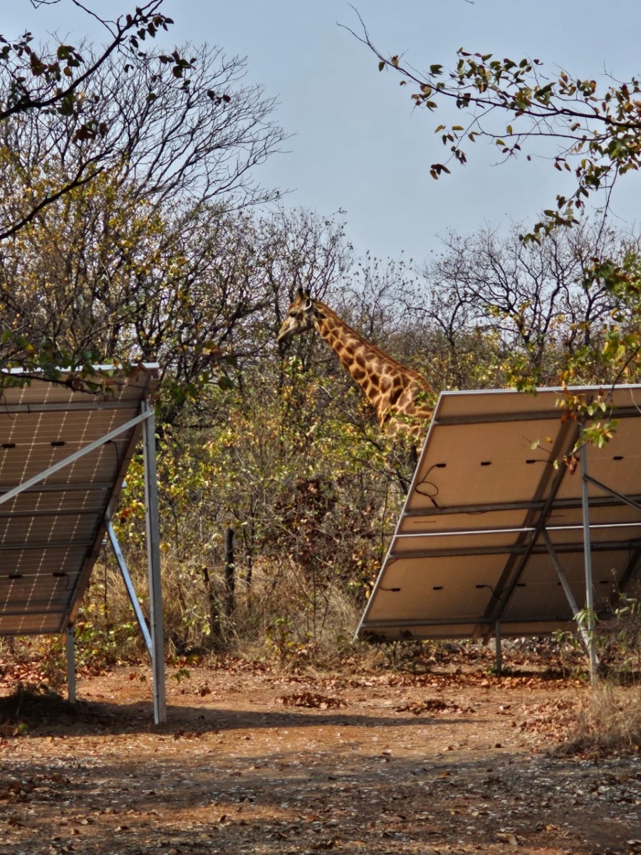 Commercial Property for Sale in Phalaborwa Limpopo