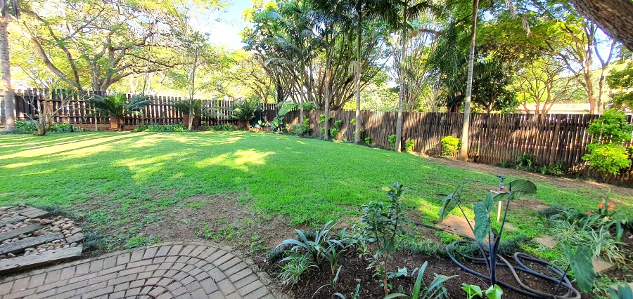 To Let 3 Bedroom Property for Rent in Louis Trichardt Limpopo