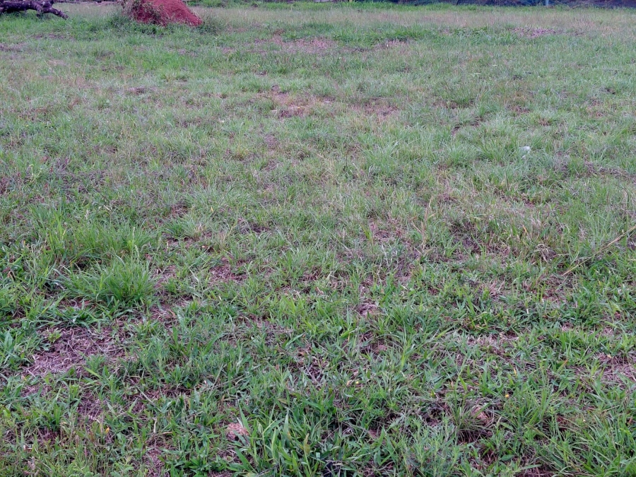 0 Bedroom Property for Sale in Bendor Limpopo