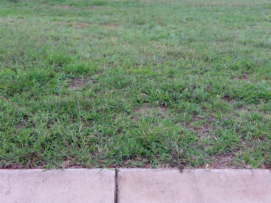 0 Bedroom Property for Sale in Bendor Limpopo