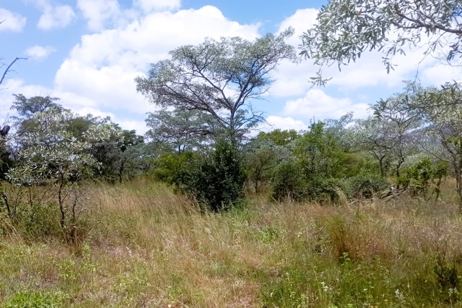 0 Bedroom Property for Sale in Sterkrivier Limpopo