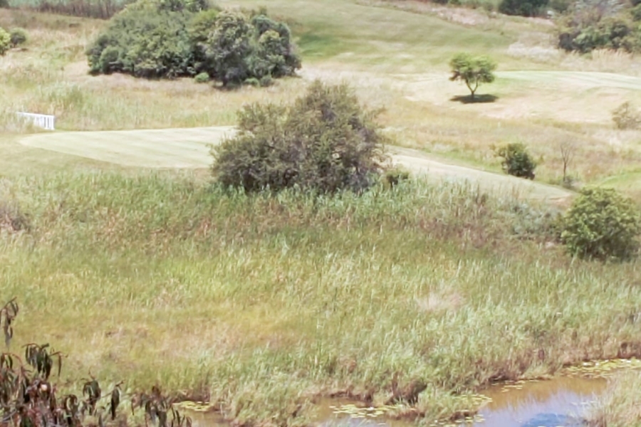 0 Bedroom Property for Sale in Sterkrivier Limpopo