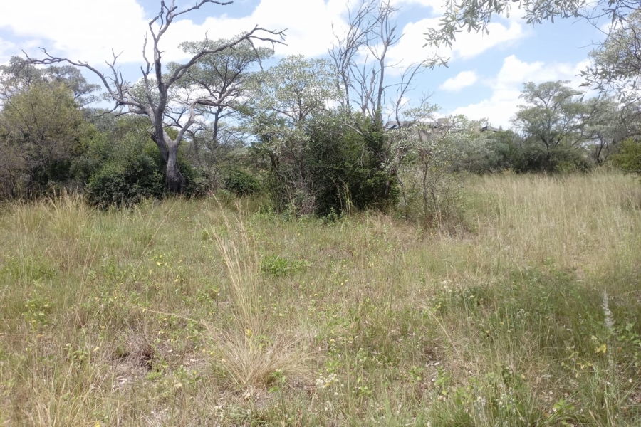 0 Bedroom Property for Sale in Sterkrivier Limpopo