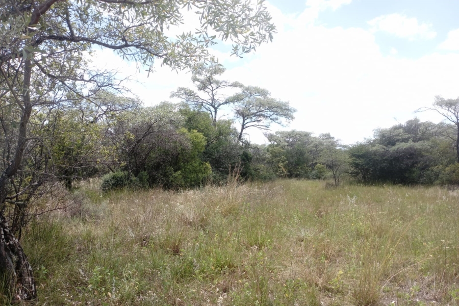 0 Bedroom Property for Sale in Sterkrivier Limpopo