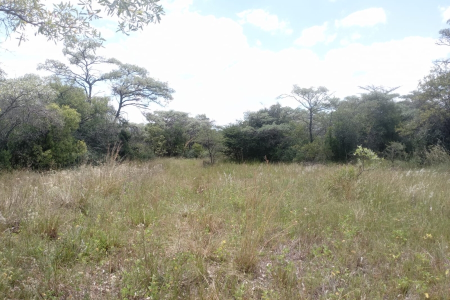 0 Bedroom Property for Sale in Sterkrivier Limpopo