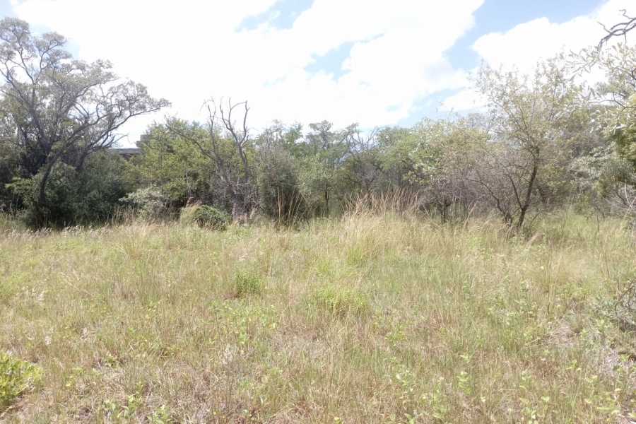 0 Bedroom Property for Sale in Sterkrivier Limpopo