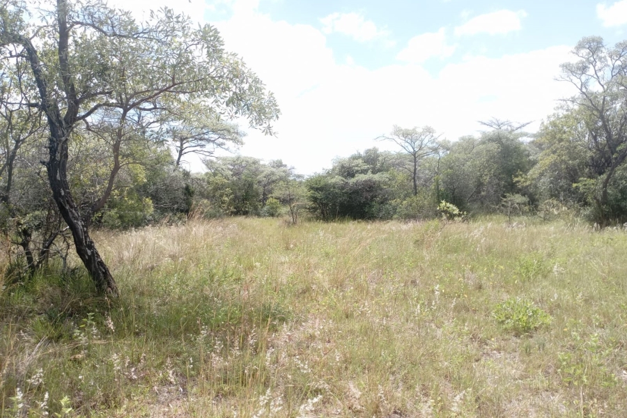 0 Bedroom Property for Sale in Sterkrivier Limpopo