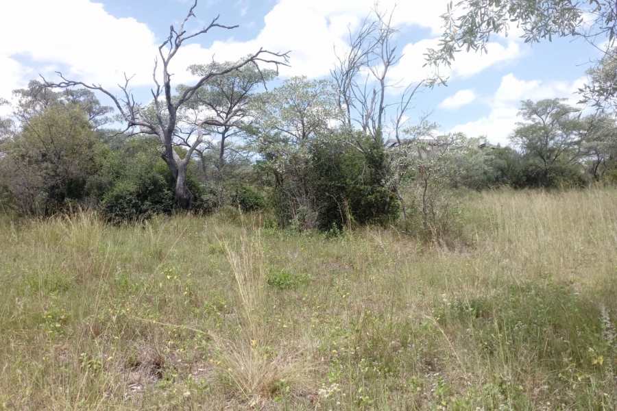 0 Bedroom Property for Sale in Sterkrivier Limpopo