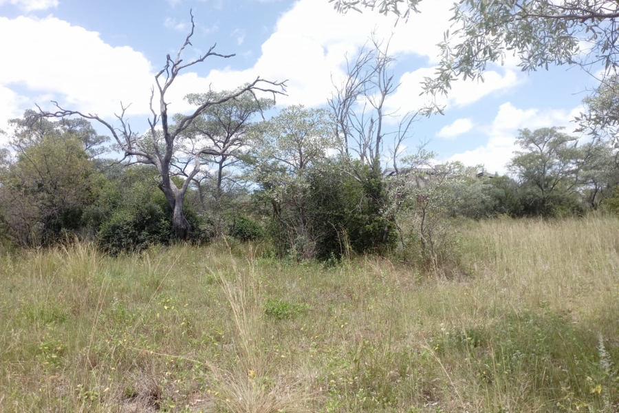 0 Bedroom Property for Sale in Sterkrivier Limpopo