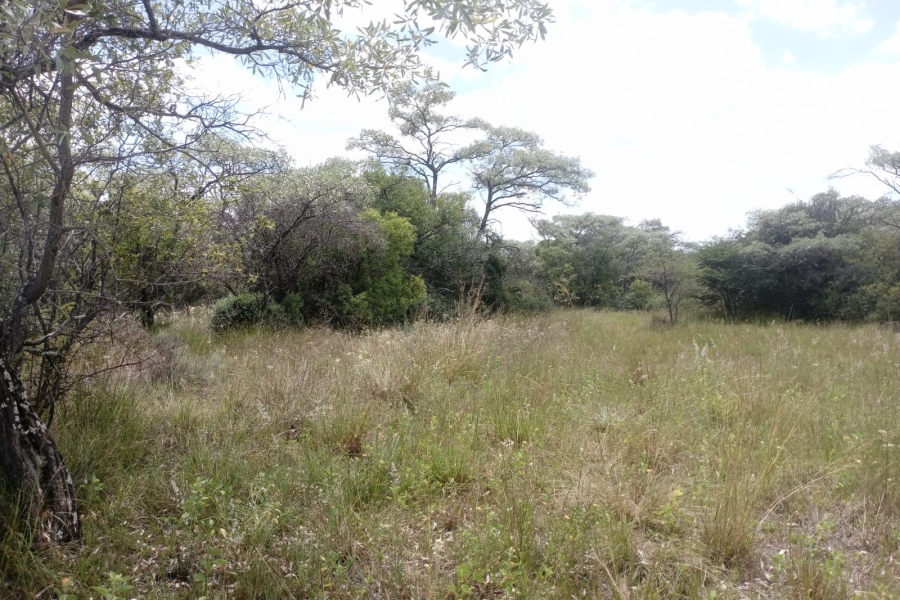 0 Bedroom Property for Sale in Sterkrivier Limpopo