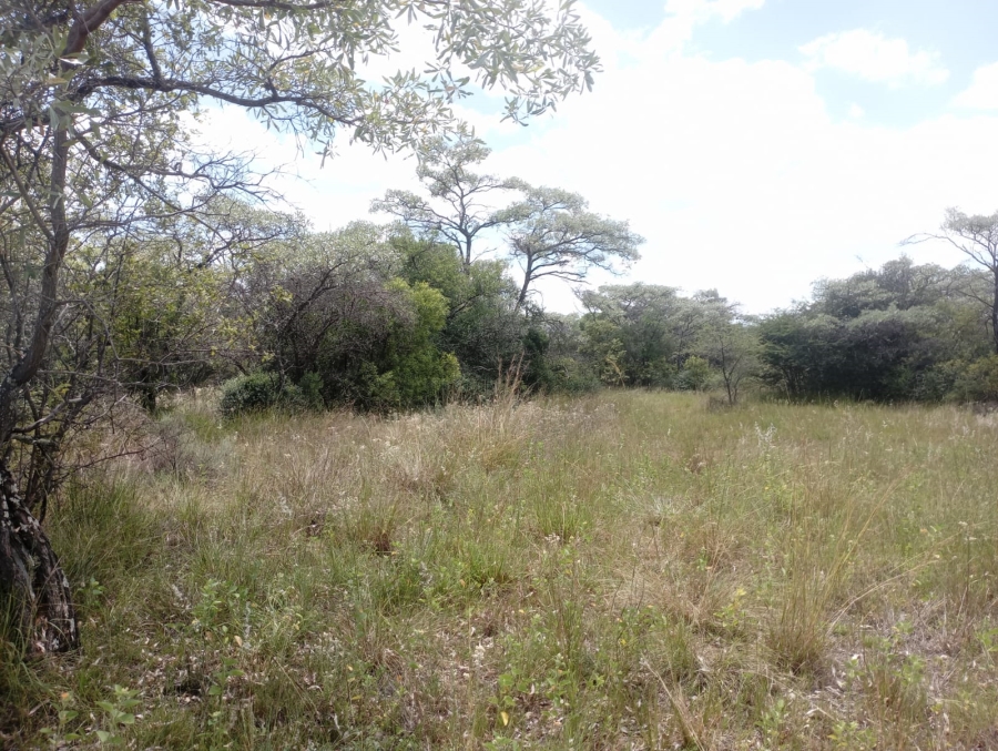 0 Bedroom Property for Sale in Sterkrivier Limpopo