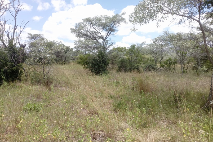 0 Bedroom Property for Sale in Sterkrivier Limpopo