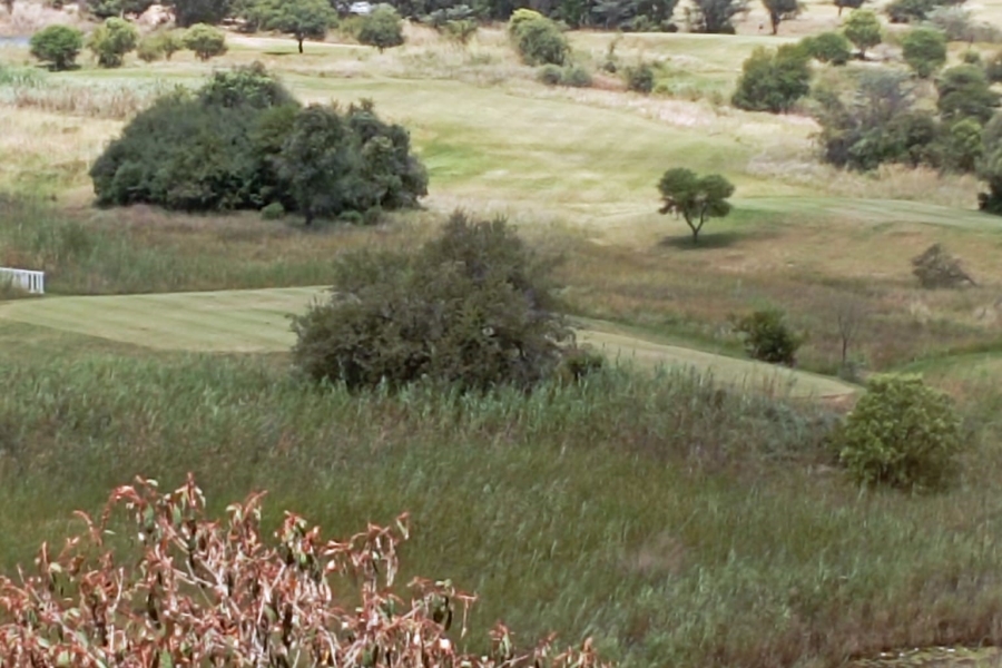 0 Bedroom Property for Sale in Sterkrivier Limpopo