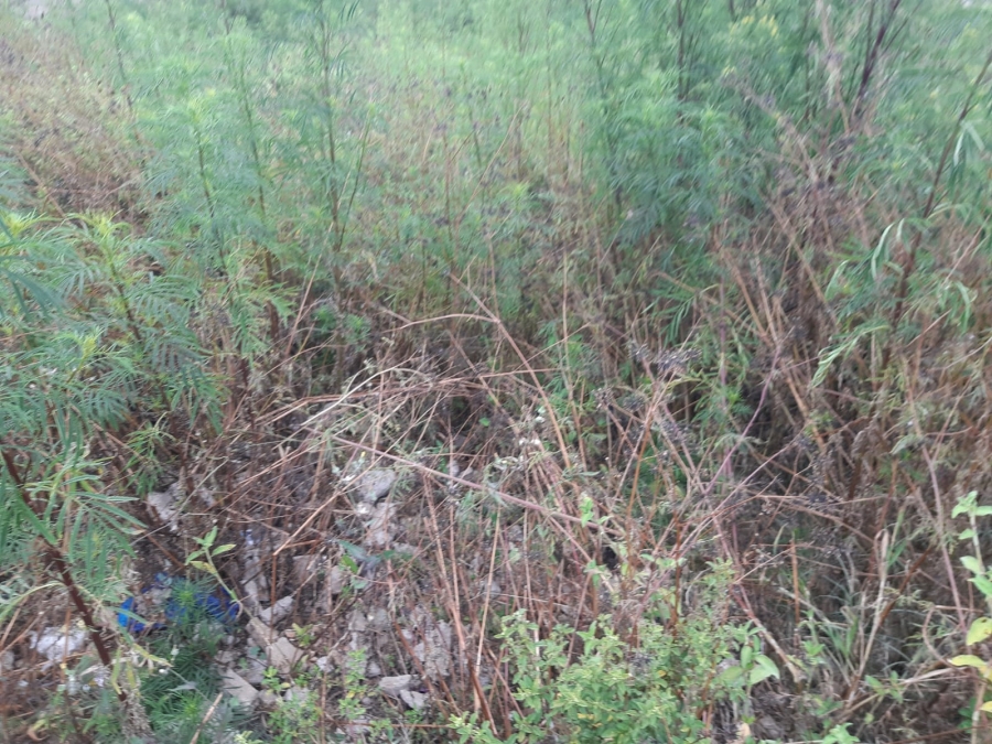 0 Bedroom Property for Sale in Serala View Limpopo