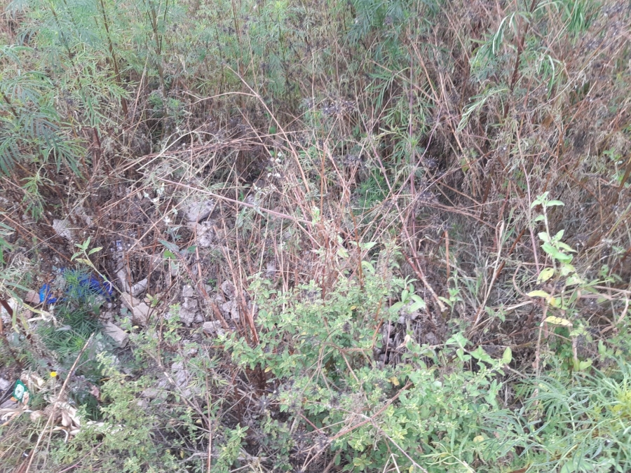 0 Bedroom Property for Sale in Serala View Limpopo