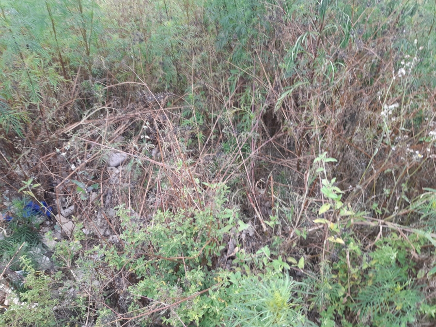 0 Bedroom Property for Sale in Serala View Limpopo