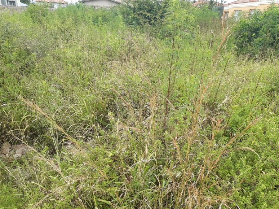 0 Bedroom Property for Sale in Serala View Limpopo