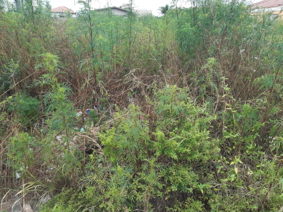 0 Bedroom Property for Sale in Serala View Limpopo