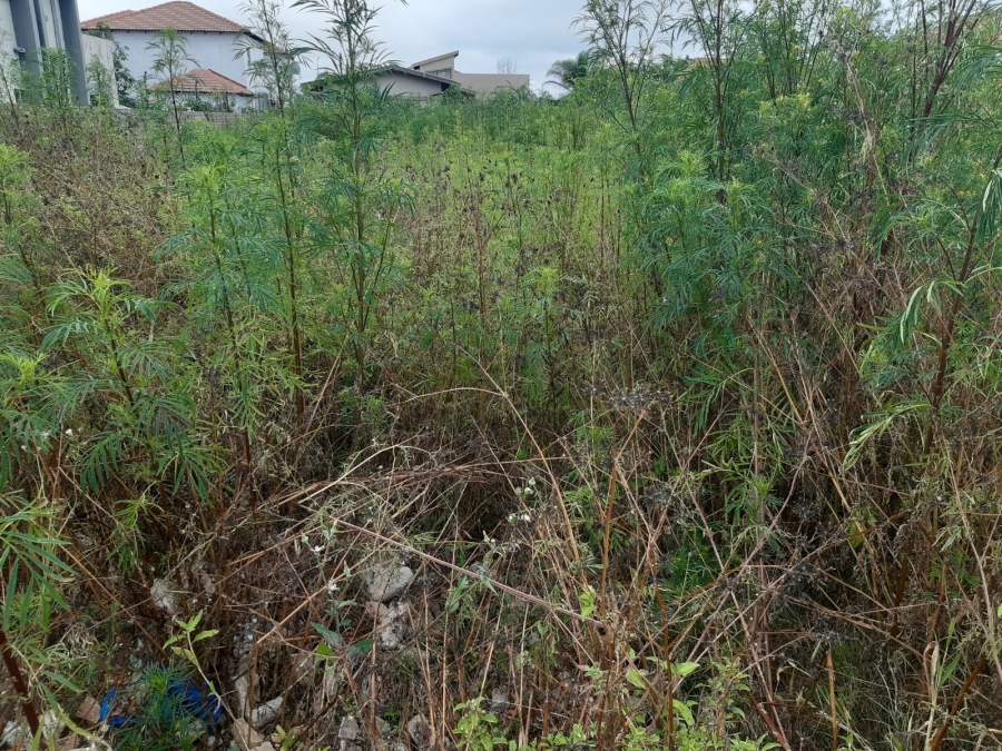 0 Bedroom Property for Sale in Serala View Limpopo