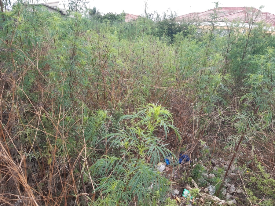 0 Bedroom Property for Sale in Serala View Limpopo