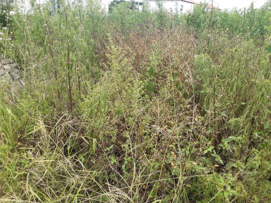 0 Bedroom Property for Sale in Serala View Limpopo