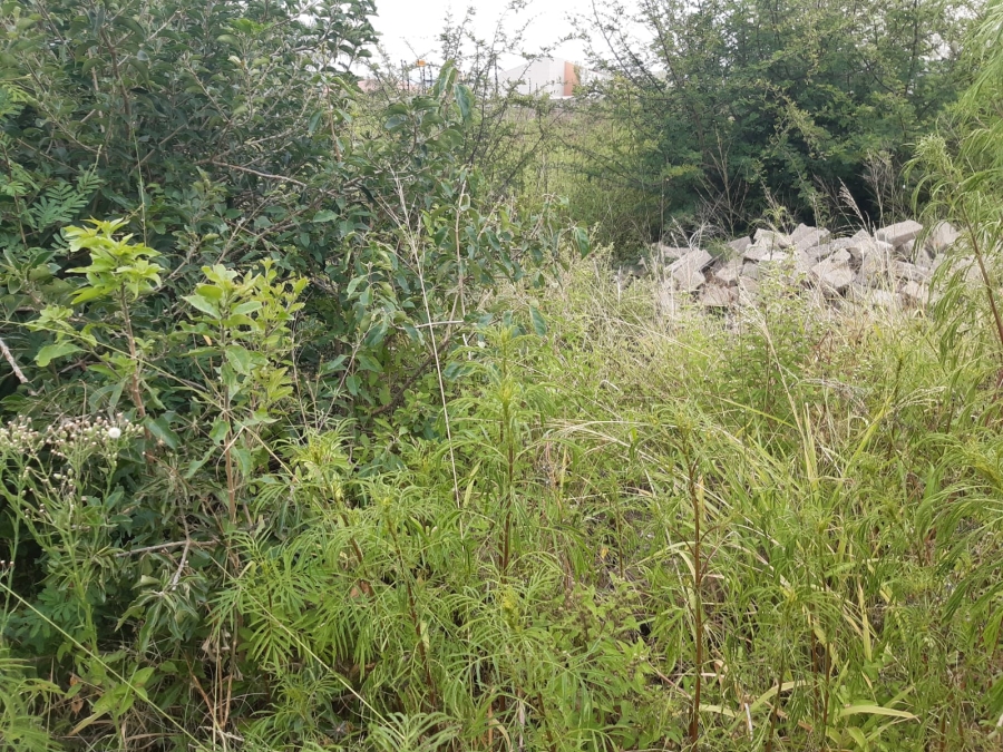 0 Bedroom Property for Sale in Serala View Limpopo