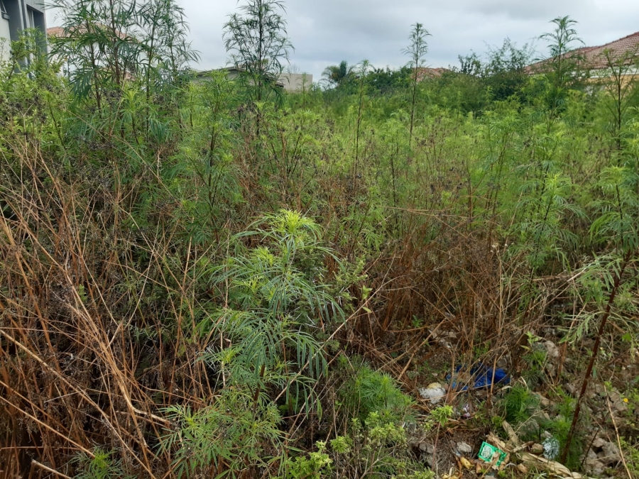 0 Bedroom Property for Sale in Serala View Limpopo