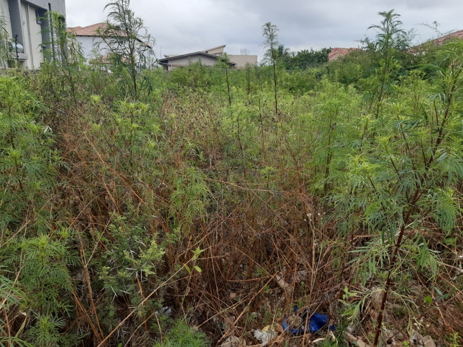 0 Bedroom Property for Sale in Serala View Limpopo