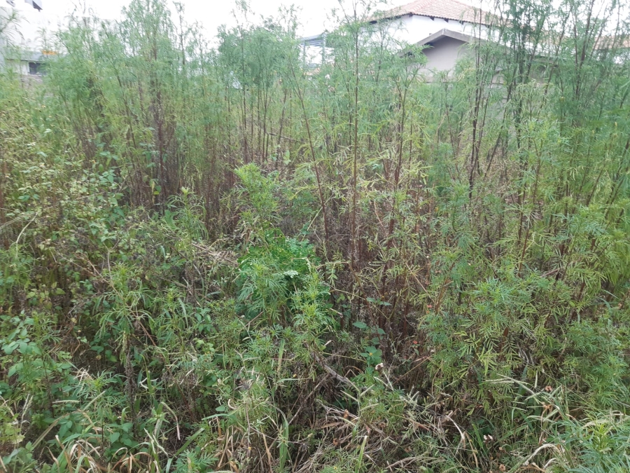 0 Bedroom Property for Sale in Serala View Limpopo