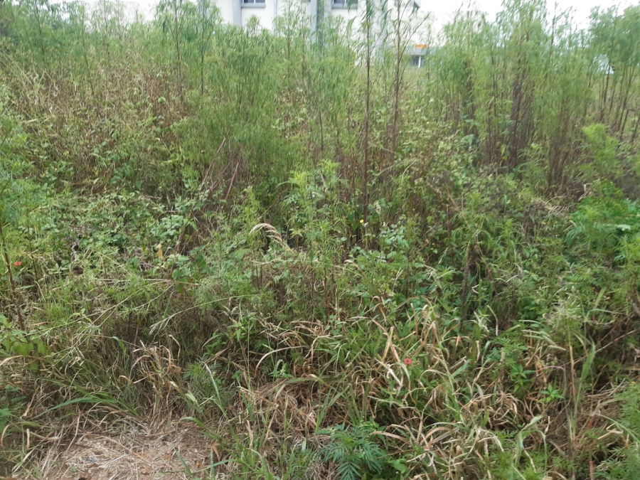 0 Bedroom Property for Sale in Serala View Limpopo