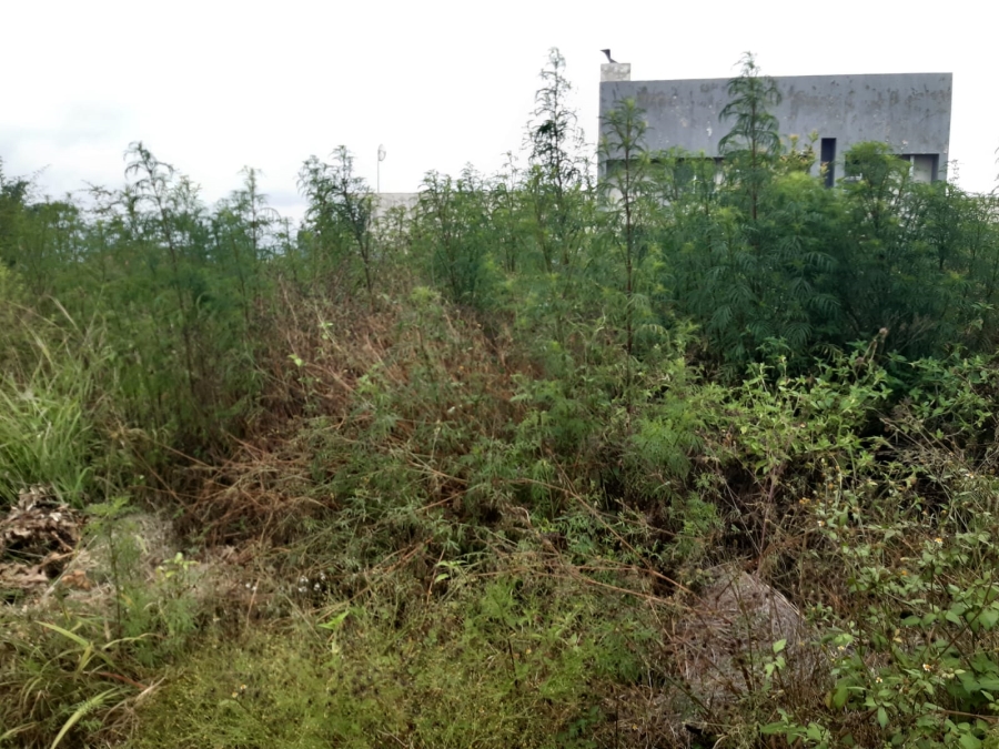 0 Bedroom Property for Sale in Serala View Limpopo