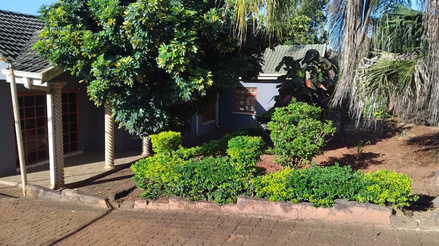 3 Bedroom Property for Sale in Elim Limpopo