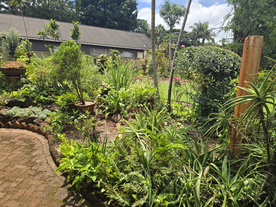 6 Bedroom Property for Sale in Louis Trichardt Limpopo