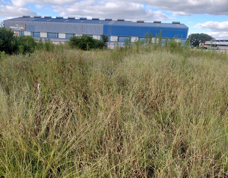 Commercial Property for Sale in Magna Via Industrial Limpopo