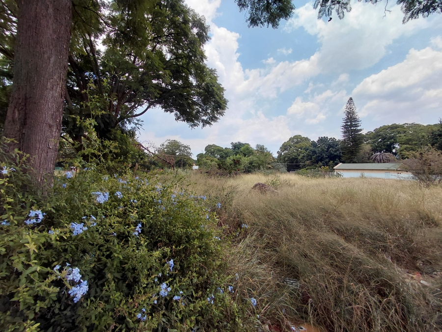 Commercial Property for Sale in Mokopane Central Limpopo