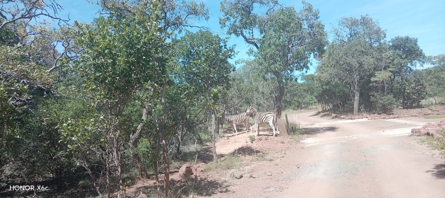 4 Bedroom Property for Sale in Bela Bela Limpopo