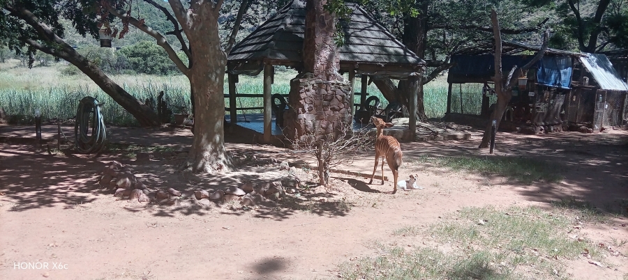 4 Bedroom Property for Sale in Bela Bela Limpopo