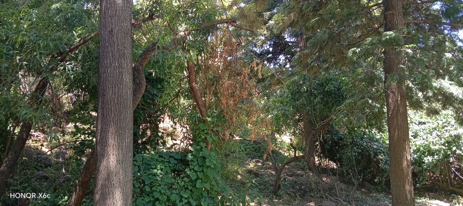 4 Bedroom Property for Sale in Bela Bela Limpopo