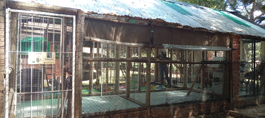 4 Bedroom Property for Sale in Bela Bela Limpopo