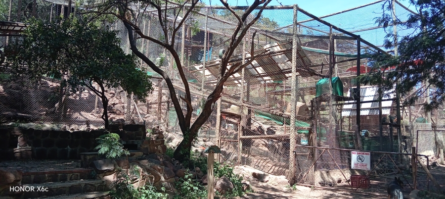 4 Bedroom Property for Sale in Bela Bela Limpopo