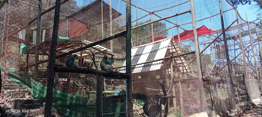 4 Bedroom Property for Sale in Bela Bela Limpopo