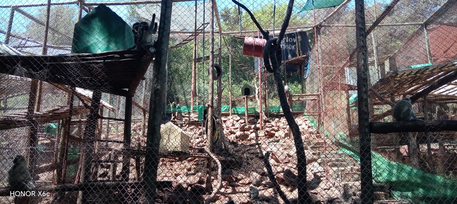 4 Bedroom Property for Sale in Bela Bela Limpopo