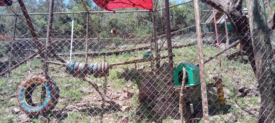 4 Bedroom Property for Sale in Bela Bela Limpopo