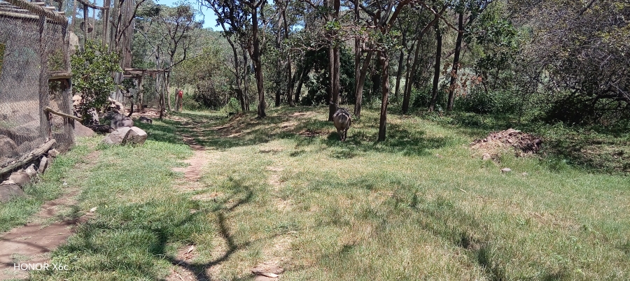 4 Bedroom Property for Sale in Bela Bela Limpopo