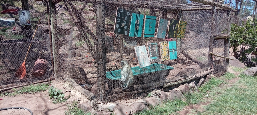 4 Bedroom Property for Sale in Bela Bela Limpopo