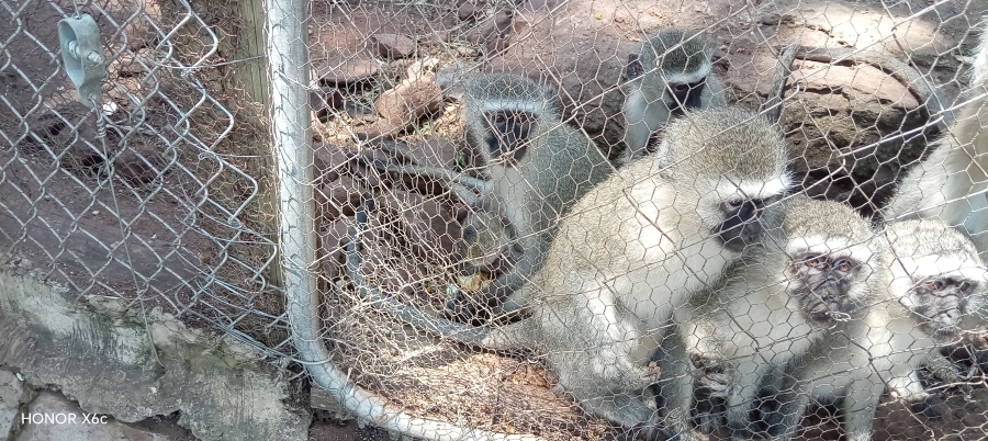 4 Bedroom Property for Sale in Bela Bela Limpopo