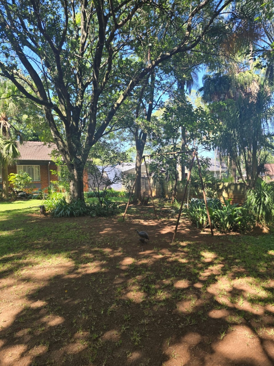 3 Bedroom Property for Sale in Louis Trichardt Limpopo