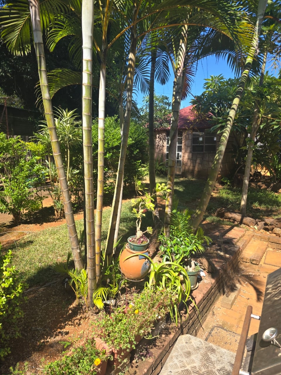 3 Bedroom Property for Sale in Louis Trichardt Limpopo